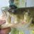 Durand Mauch's profile image