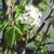 Betty L. Stotts's profile image