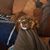 Chansce Pittard's profile image