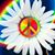 Joyann Rumbut-Stout's profile image