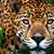 Marcella Miller's profile image