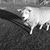 Elisabeth Hinshaw-Osgood's profile image