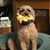 Sherry Tomes Martz's profile image