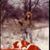 Tony Christner's profile image