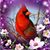 Liz Bunn's profile image