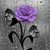 Donna Stuart McCarty's profile image