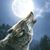 Steven Wolfe's profile image