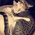 Patti Lyon-Skrzycki's profile image
