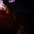 Lilou Rutten's profile image