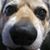 Gordon Crow's profile image