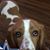 Cynthia Bridges's profile image