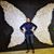 Kimberly Radostits's profile image