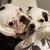 Keli Lynn Perron's profile image