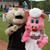 Michael Springstead's profile image