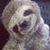 Betsy Horseart's profile image