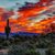 Lynn Tegland's profile image