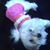 Dina Talley's profile image