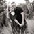 Adriane Watkins Miley's profile image