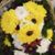 Sharon Girton's profile image