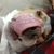 Josh Zeman's profile image