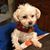 Cathy Olszowka Whitehead's profile image