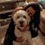 Alexandra Josephine's profile image