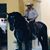 Francisco Flores's profile image