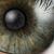Tony Hiller's profile image