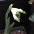 Barbara E Evans's profile image