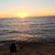 Anthony Rini's profile image