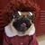 Helen A. S. Popkin's profile image