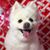 Kathy Lydon's profile image