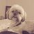 Kim Lake's profile image