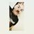Julian Soto's profile image
