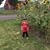 Tammy Fetter's profile image