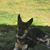 Todd Lanois's profile image