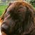 Beth Giannini's profile image