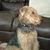 Jay McMurray's profile image
