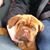 Amy Daniels's profile image