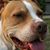 Debbie Voloch's profile image