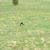 Darlene A. Rhoads's profile image