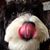 Cole Short's profile image