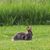 Deborah Bedker's profile image