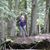 Tamie Pitzer's profile image