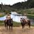 Heather Hamil Nichols's profile image