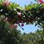 Joan Walker Kruse's profile image