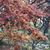Deborah Lesley Rivera's profile image