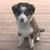 Kate Treadway's profile image