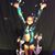 Debbie Pizzo Costello's profile image