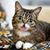 Milly Hudson Diehl's profile image